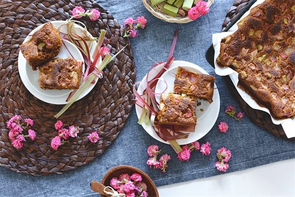 カラフルな低木で庭を華やかに！プロおすすめ5選と育て方のコツ