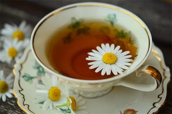 白い花だけの冬の庭、実は簡単です。3つのポイントで成功する方法