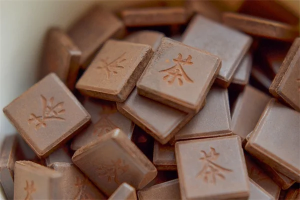 バルーンプランツでモンシロチョウ幼虫を育てるコツ